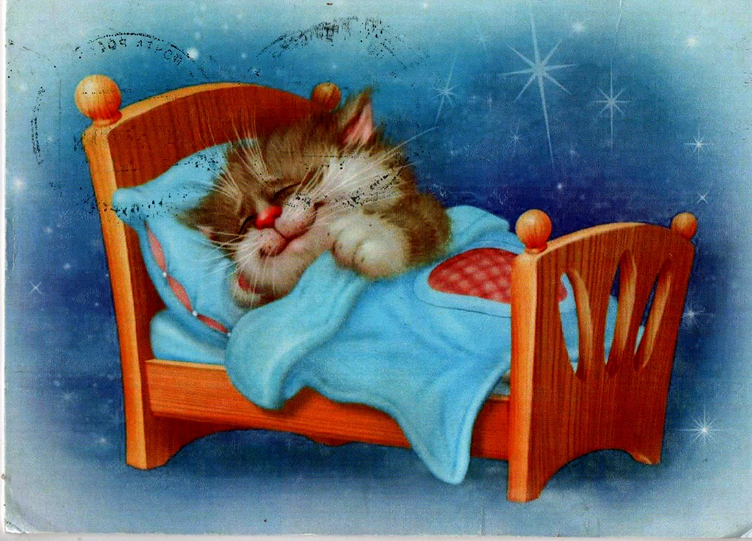 Спи котенок доброй ночи