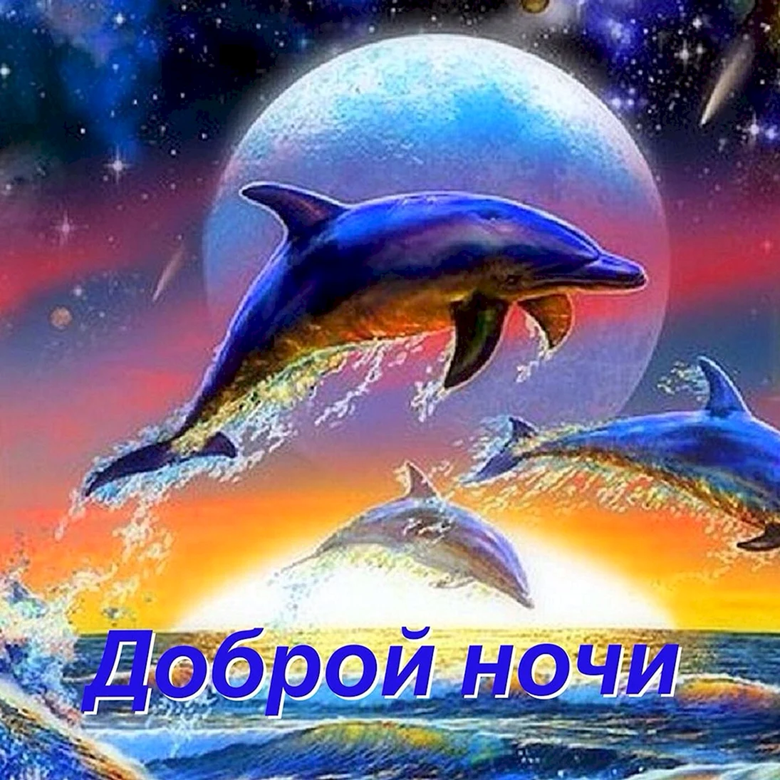 Спокойной ночи дельфины