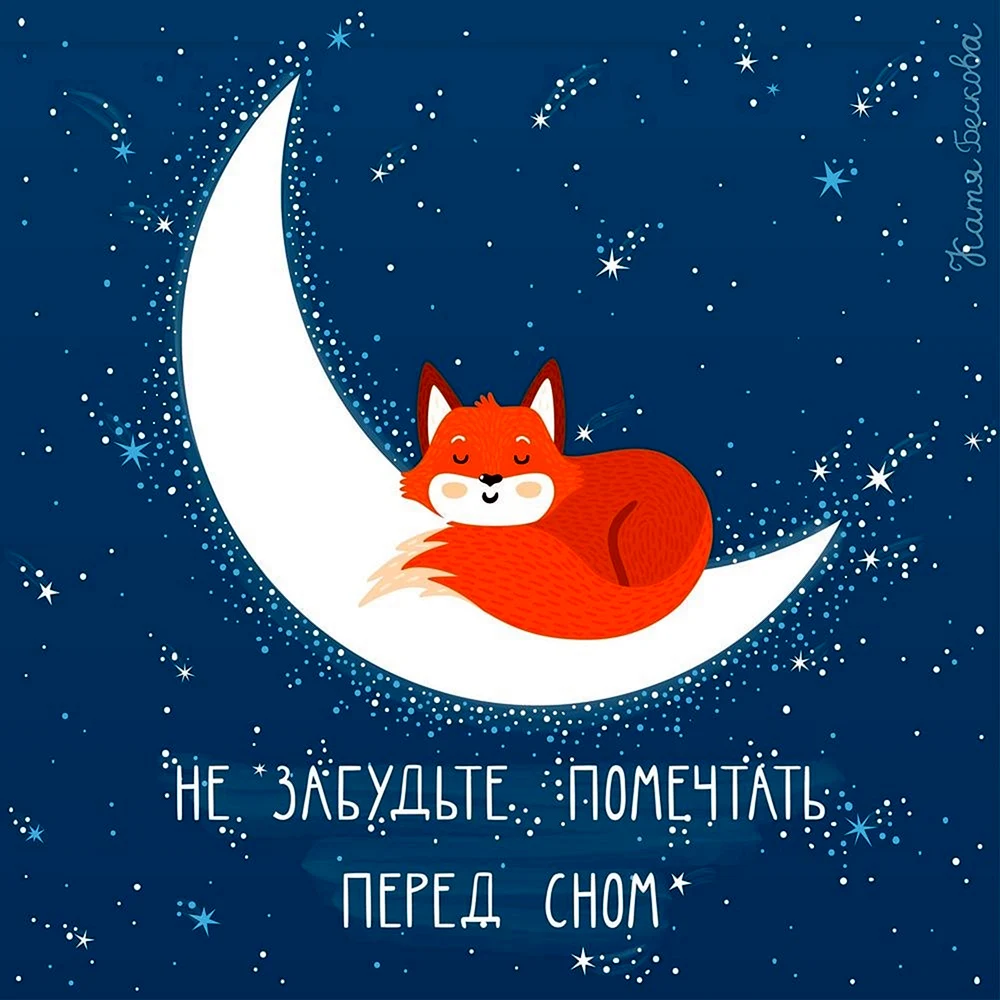 Спокойной ночи лиса