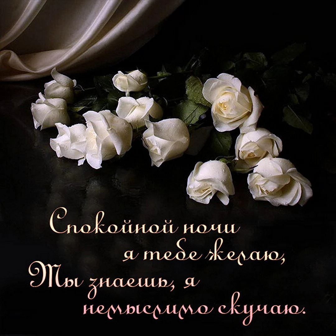 Спокойной ночи с белыми розами