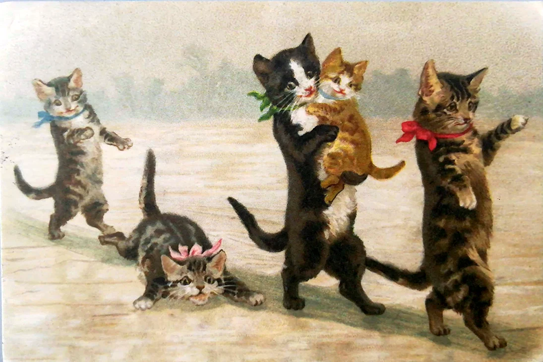 Старинные открытки с котами