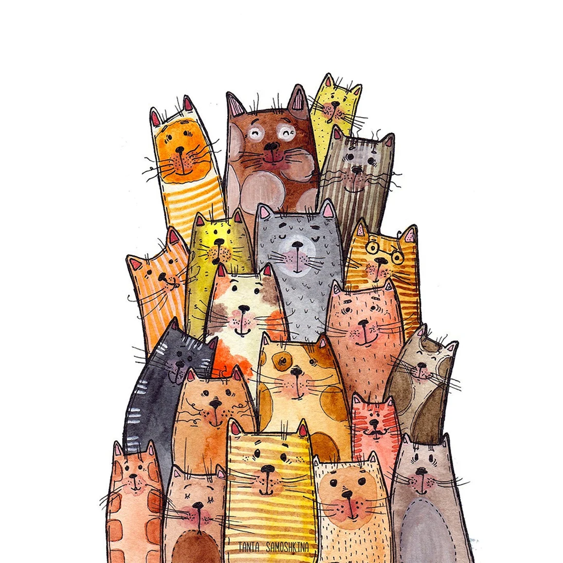 Таня Самошкина иллюстрации коты