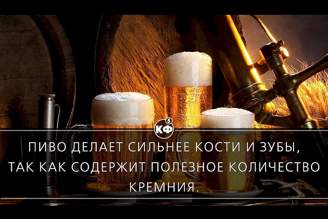 Цитаты про пиво