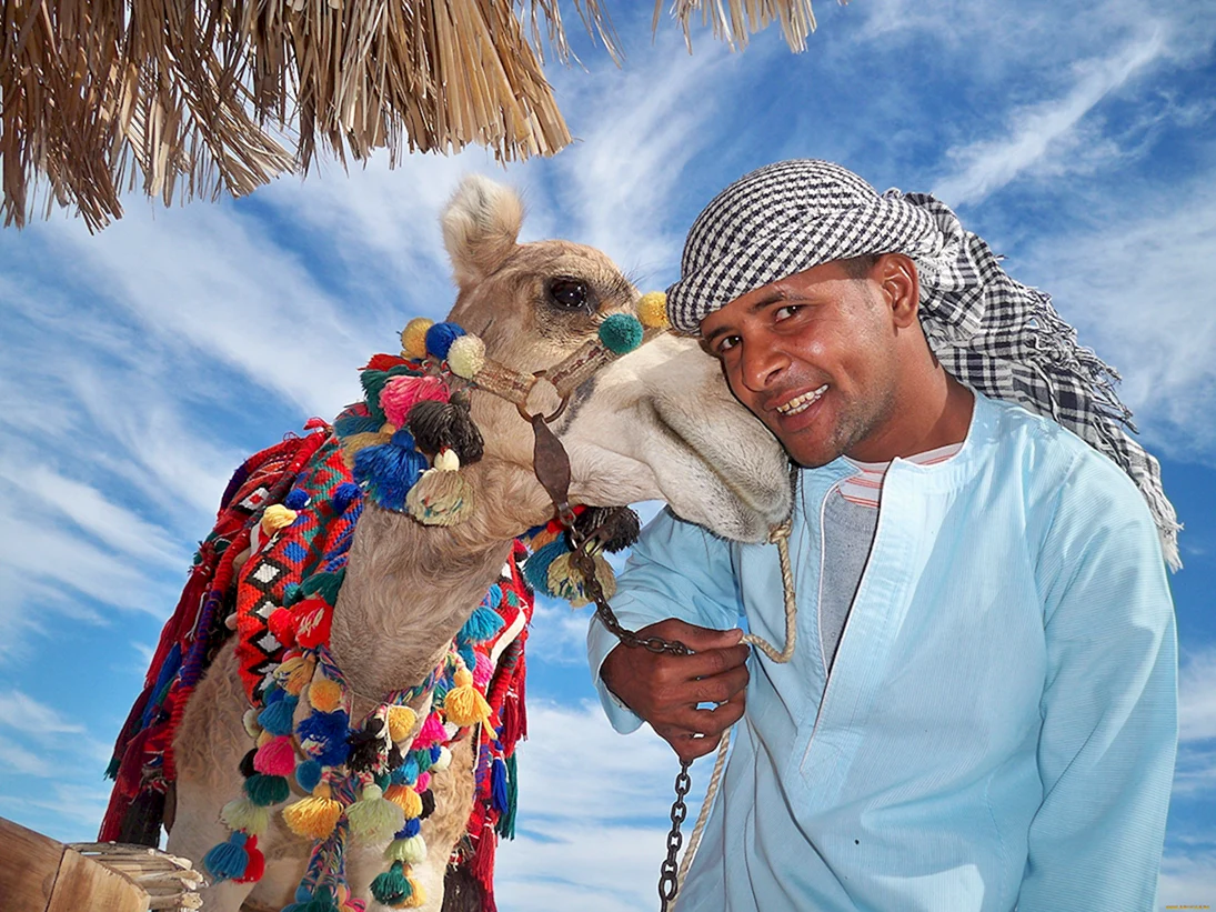 Тунис бедуины