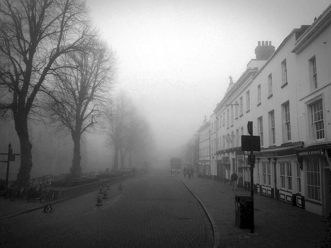 Улица в тумане