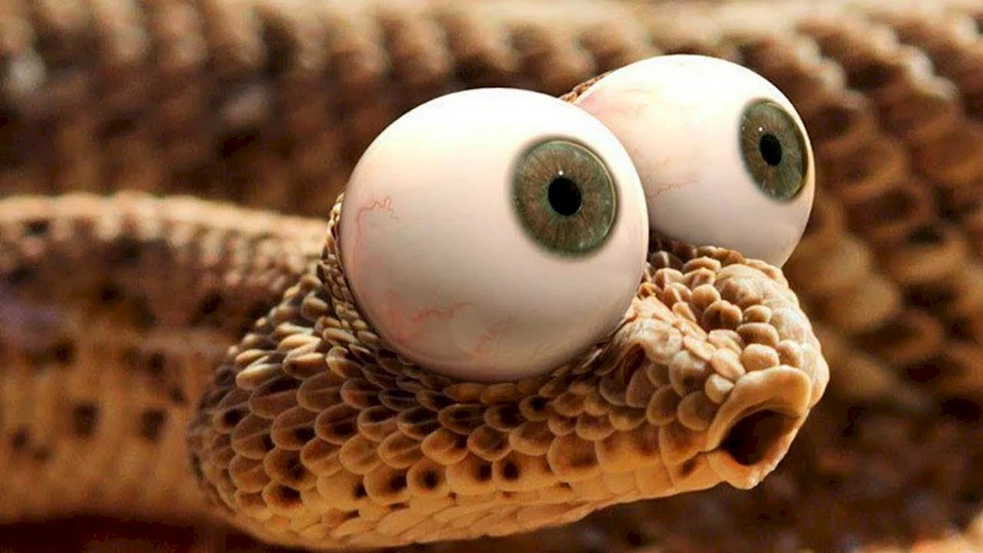Змея с выпученными глазами